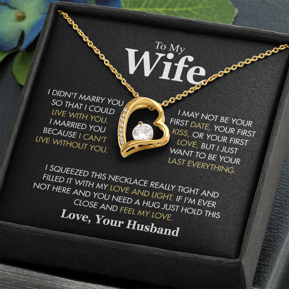 To My Wife, “I Didn't Marry You So I Could Live With You” Forever Love Necklace from Husband